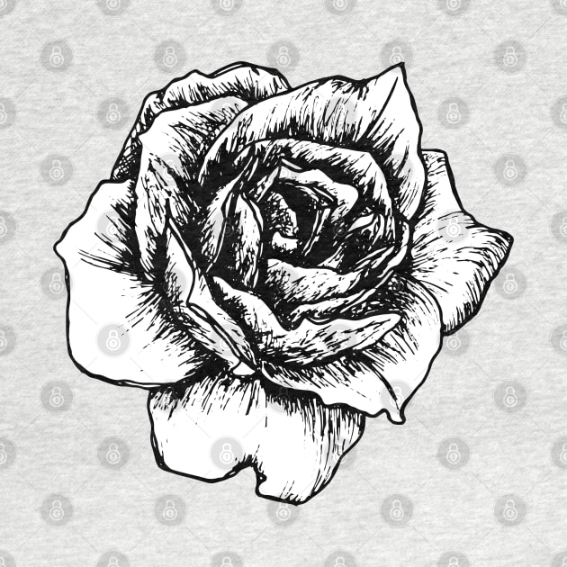 Black and white rose by LiciaMarie